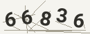 کد امنیتی تصویری