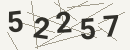 کد امنیتی تصویری
