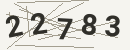 کد امنیتی تصویری