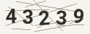 کد امنیتی تصویری