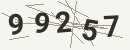 کد امنیتی تصویری