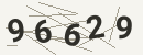 کد امنیتی تصویری