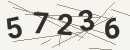 کد امنیتی تصویری