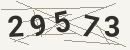 کد امنیتی تصویری