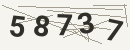کد امنیتی تصویری