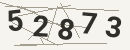 کد امنیتی تصویری