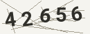 کد امنیتی تصویری
