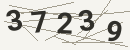 کد امنیتی تصویری