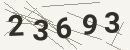 کد امنیتی تصویری