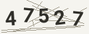 کد امنیتی تصویری