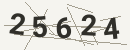 کد امنیتی تصویری