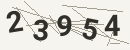 کد امنیتی تصویری