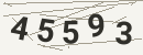کد امنیتی تصویری