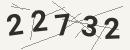 کد امنیتی تصویری