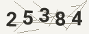 کد امنیتی تصویری