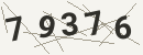 کد امنیتی تصویری