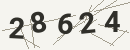 کد امنیتی تصویری