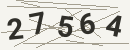کد امنیتی تصویری