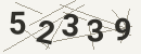 کد امنیتی تصویری